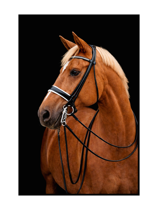 Cuadro Caballo Marrón