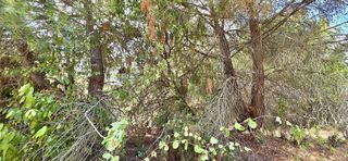 Terreno en venta en Uceda