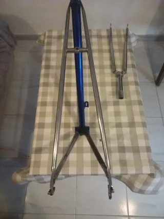 Cuadro gianni motta cromovelato