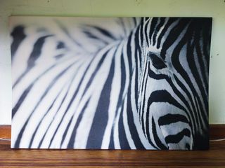 Cuadro cebra ikea