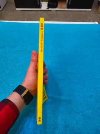 Libro Ajedrez  Defensa siciliana variante SozinB89