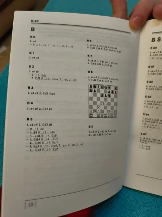 Libro Ajedrez  Defensa siciliana variante SozinB89