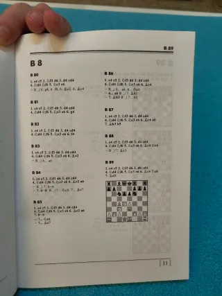 Libro Ajedrez  Defensa siciliana variante SozinB89