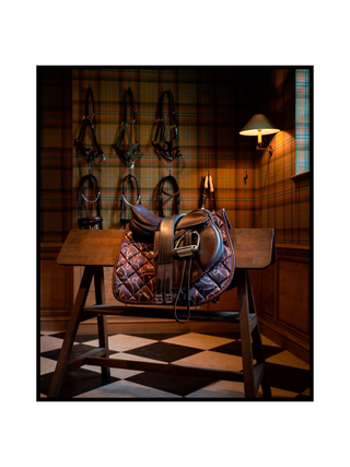 Cuadro Montura Clásica