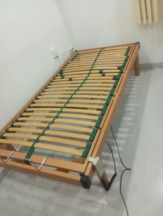 Cama eléctrica articulada