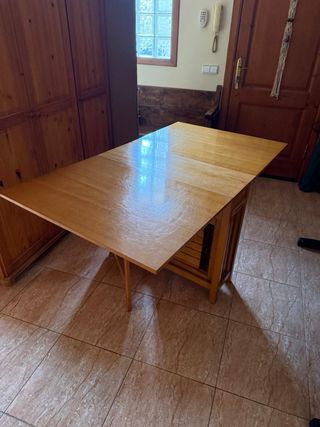 Mesa plegable con 4 sillas plegables