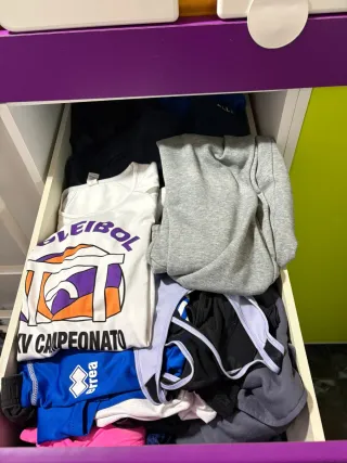 Cama alta con armario y escritorio