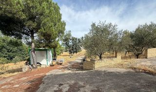 Terreno en venta en Uceda