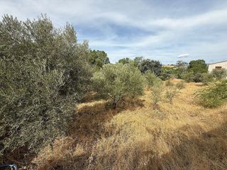 Terreno en venta en Uceda