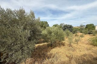 Terreno en venta en Uceda