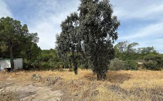 Terreno en venta en Uceda