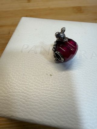 Charm Pandora