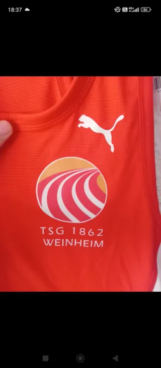 Camiseta atletismo Puma TSG Weinheim