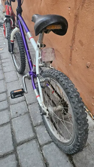 Bicicleta MONTY 403.  4-7 años