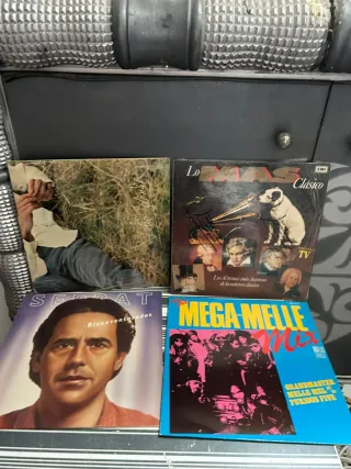 Lote 16 discos de vinilo grandes