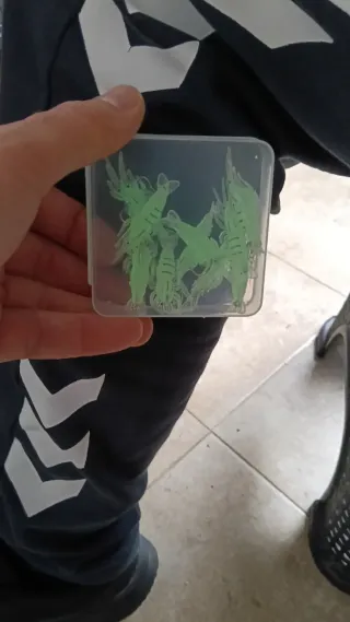 Caja señuelos gamba fluorescente pesca