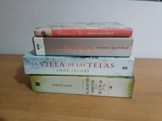 Lote libros romance histórico.