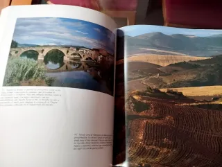 El Camino de Santiago