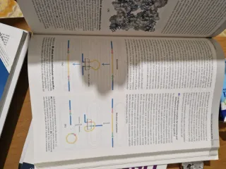 I principi di biochimica di Lehninger