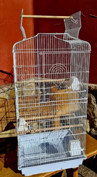 Jaula grande ninfa o similar