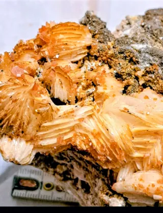 Un campione grande di barite a petali  e con vanad