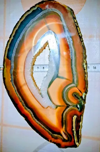 Sezione Agata Corniola Spettacolare