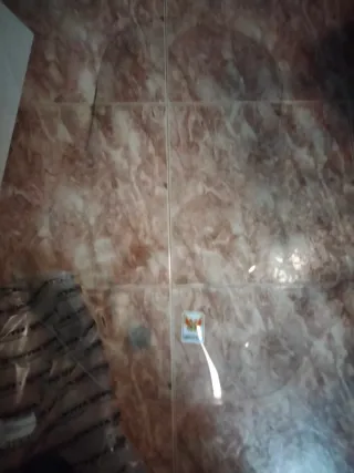 Parabrisas moto Seat mo y silence s01