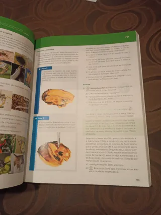 Bioloxía, Xeoloxía e Ciencias Ambientais 1.