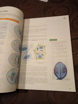 Bioloxía, Xeoloxía e Ciencias Ambientais 1.
