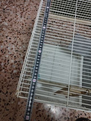 Gabbia grande per uccelli media 75x45