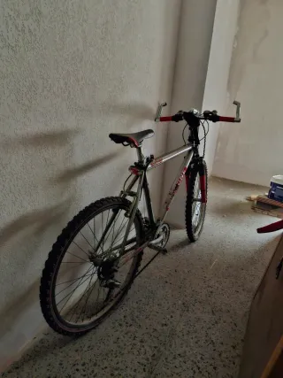 Bicicleta de montaña plateada