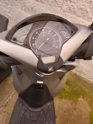 Honda scoopy 125 abs