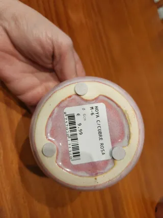 Maceta pequeña rosa