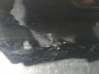 PARAGOLPES TRASERO AUDI A5 SPORTBACK (8T) CDNB S