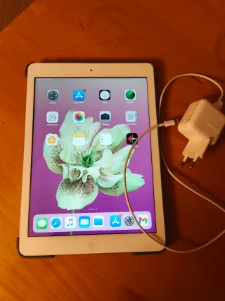 iPad Air (1ª generación) + funda