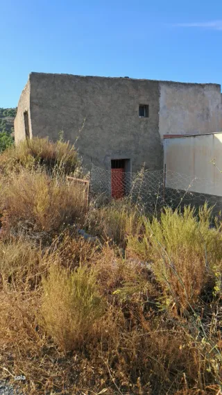 Finca Olivos y almendros 10000m2 con 19h Agua