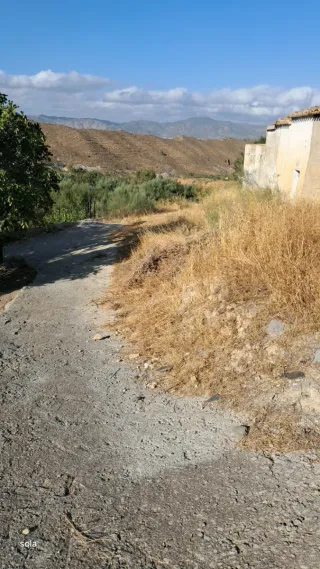 Finca Olivos y almendros 10000m2 con 19h Agua