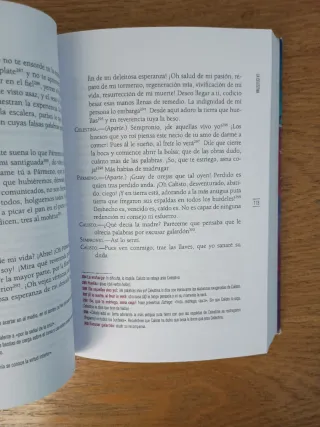 La Celestina (Clásicos de la literatura) (Spani...