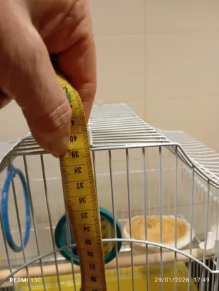 Gabbia per uccelli in buone condizioni