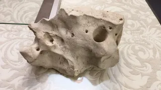 Piedras Decorativas Acuario Beige con betas.