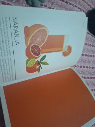 Colorama: El libro de los colores del mundo