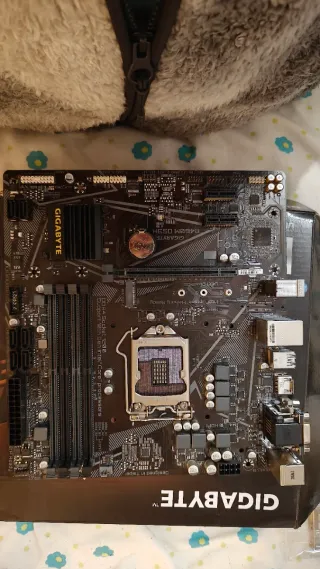 Placa Base Gigabyte B460M DS3H + CPU i5 10400F