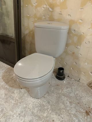 Taza WC Roca Blanca Porcelana