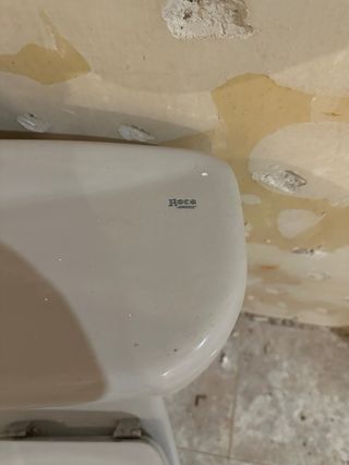 Taza WC Roca Blanca Porcelana