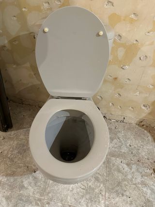 Taza WC Roca Blanca Porcelana