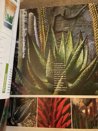 Rivista  vintageCasa Naturale Eco design anno 2008