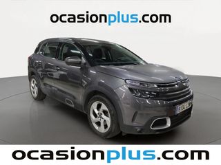 Citroen C5 Aircross BlueHdi 130 S&S Live Pack 96 kW (131 CV)