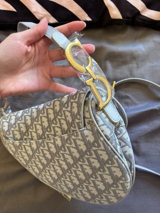 Bolso Saddle Dior Gris