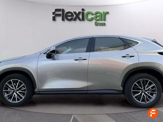 Lexus NX 350h Business City 4WD