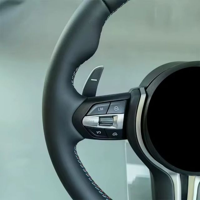 Volante BMW M Plata Serie E